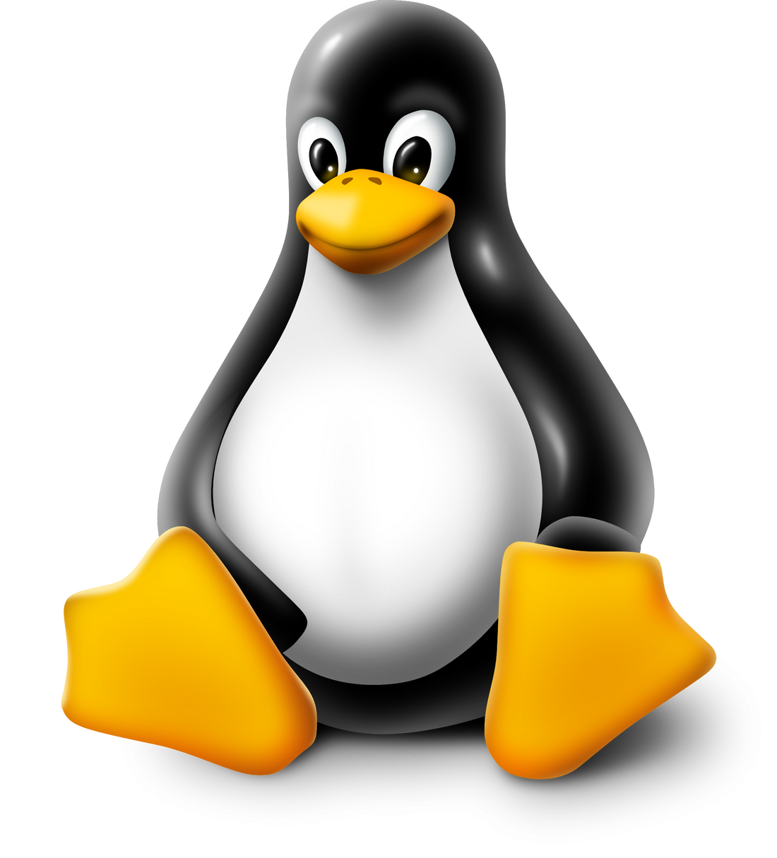 The Imaging Source Linux Software 